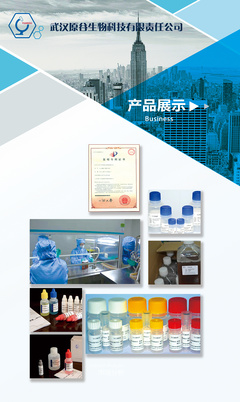 武漢原谷|平面|海報|LIJIE441100 