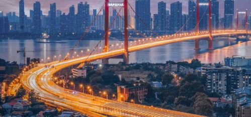 疫區擺渡人 再也沒進過孩子房間 他求抱抱我卻不能