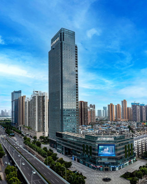 增強文化自信,加快適應信息技術迅猛發(fā)展新形勢 武漢黨員干部群眾學習領會黨的二十屆三中全會精神之五 武漢市人民政府門戶網站